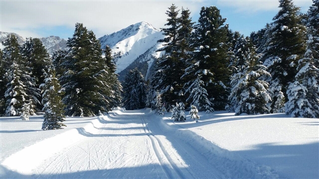 La pista da fondo si inoltra verso il boschetto.